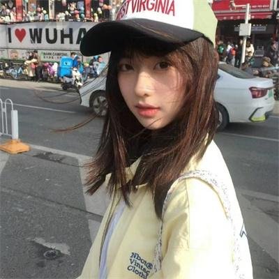 鲅鱼恋上猫